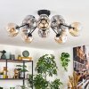 Ripoll Plafondlamp, Kogellampje Amber, Duidelijk, Rookkleurig, 10-lichts