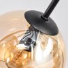 Koyoto Plafondlamp, Kogellampje 81 cm Amber, Chroom, Duidelijk, Rookkleurig, 10-lichts