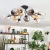 Koyoto Plafondlamp, Kogellampje 81 cm Amber, Chroom, Duidelijk, Rookkleurig, 10-lichts