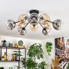 Ripoll Plafondlamp, Kogellampje Amber, Duidelijk, Rookkleurig, 10-lichts