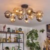 Ripoll Plafondlamp, Kogellampje Amber, Duidelijk, Rookkleurig, 12-lichts