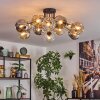 Ripoll Plafondlamp, Kogellampje Amber, Duidelijk, Rookkleurig, 12-lichts