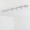 Ilena Plafondlamp voor buiten, Buitenlicht, Badkamerlamp, Bouw spotlight, Plafondlamp LED Grijs, 1-licht