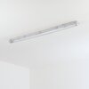 Ilena Plafondlamp voor buiten, Buitenlicht, Badkamerlamp, Bouw spotlight, Plafondlamp LED Grijs, 1-licht