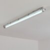 Ilena Plafondlamp voor buiten, Buitenlicht, Badkamerlamp, Bouw spotlight, Plafondlamp LED Grijs, 1-licht