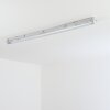 Ilena Plafondlamp voor buiten, Buitenlicht, Badkamerlamp, Bouw spotlight, Plafondlamp LED Grijs, 1-licht