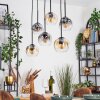 Ripoll Hanglamp, Kogellampje, Hanglamp Amber, Duidelijk, Rookkleurig, 6-lichts