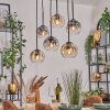 Ripoll Hanglamp, Kogellampje, Hanglamp Amber, Duidelijk, Rookkleurig, 6-lichts