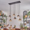 Ripoll Hanglamp, Kogellampje, Hanglamp Amber, Duidelijk, Rookkleurig, 6-lichts