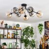 Koyoto Plafondlamp, Kogellampje 86 cm Amber, Duidelijk, Rookkleurig, 8-lichts