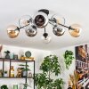 Koyoto Plafondlamp, Kogellampje 86 cm Amber, Chroom, Duidelijk, Rookkleurig, 8-lichts