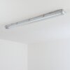 Ilena Plafondlamp voor buiten, Buitenlicht, Badkamerlamp, Bouw spotlight, Plafondlamp LED Grijs, 1-licht
