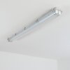 Ilena Plafondlamp voor buiten, Buitenlicht, Badkamerlamp, Bouw spotlight, Plafondlamp LED Grijs, 1-licht