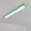 Ilena Plafondlamp voor buiten, Buitenlicht, Badkamerlamp, Bouw spotlight, Plafondlamp LED Grijs, 1-licht