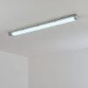 Ilena Plafondlamp voor buiten, Buitenlicht, Badkamerlamp, Bouw spotlight, Plafondlamp LED Grijs, 1-licht