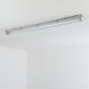 Ilena Plafondlamp voor buiten, Buitenlicht, Badkamerlamp, Bouw spotlight, Plafondlamp LED Grijs, 1-licht