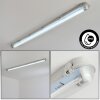 Ilena Plafondlamp voor buiten, Buitenlicht, Badkamerlamp, Bouw spotlight, Plafondlamp LED Grijs, 1-licht