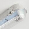 Ilena Plafondlamp voor buiten, Buitenlicht, Badkamerlamp, Bouw spotlight, Plafondlamp LED Grijs, 1-licht