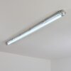 Ilena Plafondlamp voor buiten, Buitenlicht, Badkamerlamp, Bouw spotlight, Plafondlamp LED Grijs, 1-licht