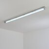 Ilena Plafondlamp voor buiten, Buitenlicht, Badkamerlamp, Bouw spotlight, Plafondlamp LED Grijs, 1-licht