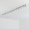 Ilena Plafondlamp voor buiten, Buitenlicht, Badkamerlamp, Bouw spotlight, Plafondlamp LED Grijs, 1-licht
