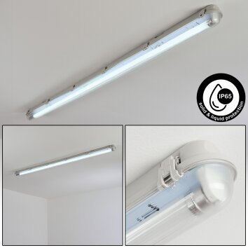 Ilena Plafondlamp voor buiten, Buitenlicht, Badkamerlamp, Bouw spotlight, Plafondlamp LED Grijs, 1-licht