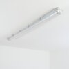 Ilena Plafondlamp voor buiten, Buitenlicht, Badkamerlamp, Bouw spotlight, Plafondlamp LED Grijs, 1-licht
