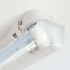 Ilena Plafondlamp voor buiten, Buitenlicht, Badkamerlamp, Bouw spotlight, Plafondlamp LED Grijs, 1-licht