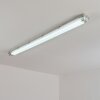 Ilena Plafondlamp voor buiten, Buitenlicht, Badkamerlamp, Bouw spotlight, Plafondlamp LED Grijs, 1-licht