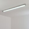 Ilena Plafondlamp voor buiten, Buitenlicht, Badkamerlamp, Bouw spotlight, Plafondlamp LED Grijs, 1-licht