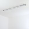 Ilena Plafondlamp voor buiten, Buitenlicht, Badkamerlamp, Bouw spotlight, Plafondlamp LED Grijs, 1-licht