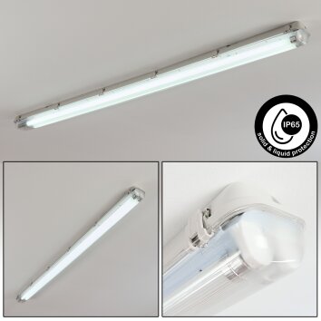 Ilena Plafondlamp voor buiten, Buitenlicht, Badkamerlamp, Bouw spotlight, Plafondlamp LED Grijs, 1-licht