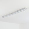Ilena Plafondlamp voor buiten, Buitenlicht, Badkamerlamp, Bouw spotlight, Plafondlamp LED Grijs, 1-licht