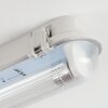 Ilena Plafondlamp voor buiten, Buitenlicht, Badkamerlamp, Bouw spotlight, Plafondlamp LED Grijs, 1-licht