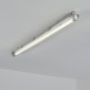 Ilena Plafondlamp voor buiten, Buitenlicht, Badkamerlamp, Bouw spotlight, Plafondlamp LED Grijs, 1-licht
