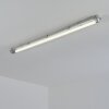 Ilena Plafondlamp voor buiten, Buitenlicht, Badkamerlamp, Bouw spotlight, Plafondlamp LED Grijs, 1-licht