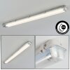 Ilena Plafondlamp voor buiten, Buitenlicht, Badkamerlamp, Bouw spotlight, Plafondlamp LED Grijs, 1-licht