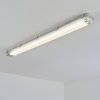 Ilena Plafondlamp voor buiten, Buitenlicht, Badkamerlamp, Bouw spotlight, Plafondlamp LED Grijs, 1-licht