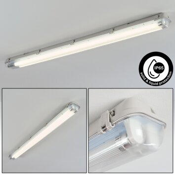 Ilena Plafondlamp voor buiten, Buitenlicht, Badkamerlamp, Bouw spotlight, Plafondlamp LED Grijs, 1-licht