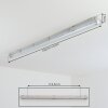 Ilena Plafondlamp voor buiten, Buitenlicht, Badkamerlamp, Bouw spotlight, Plafondlamp LED Grijs, 1-licht