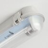 Ilena Plafondlamp voor buiten, Buitenlicht, Badkamerlamp, Bouw spotlight, Plafondlamp LED Grijs, 1-licht
