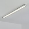Ilena Plafondlamp voor buiten, Buitenlicht, Badkamerlamp, Bouw spotlight, Plafondlamp LED Grijs, 1-licht