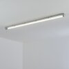 Ilena Plafondlamp voor buiten, Buitenlicht, Badkamerlamp, Bouw spotlight, Plafondlamp LED Grijs, 1-licht