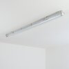 Ilena Plafondlamp voor buiten, Buitenlicht, Badkamerlamp, Bouw spotlight, Plafondlamp LED Grijs, 1-licht