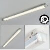 Ilena Plafondlamp voor buiten, Buitenlicht, Badkamerlamp, Bouw spotlight, Plafondlamp LED Grijs, 1-licht