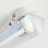Ilena Plafondlamp voor buiten, Buitenlicht, Badkamerlamp, Bouw spotlight, Plafondlamp LED Grijs, 1-licht