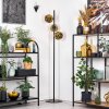 Ripoll Kogellampje, Staande lamp Goud, 3-lichts