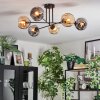 Ripoll Plafondlamp, Kogellampje Amber, Rookkleurig, 6-lichts