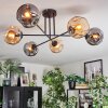 Ripoll Plafondlamp, Kogellampje Amber, Rookkleurig, 6-lichts