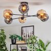 Ripoll Plafondlamp, Kogellampje Amber, Rookkleurig, 6-lichts